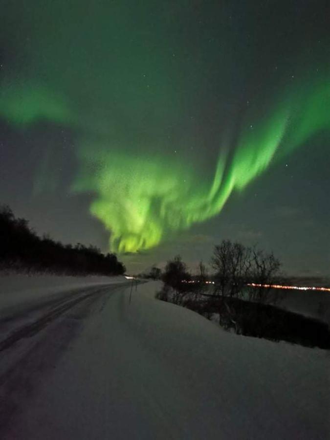 Aurora Rooms In Shared Hsuse Nr3 We Are Doing Northen Lights Trip, Reaindear Trip And Sommaroy Fjord Trips Тромсе Екстер'єр фото