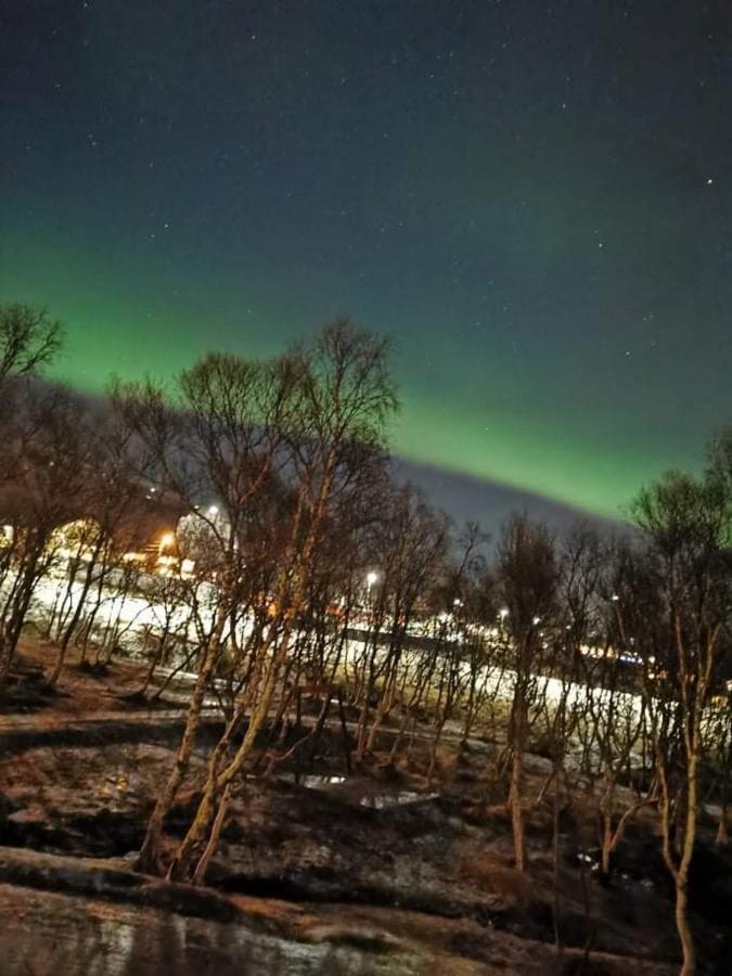 Aurora Rooms In Shared Hsuse Nr3 We Are Doing Northen Lights Trip, Reaindear Trip And Sommaroy Fjord Trips Тромсе Екстер'єр фото